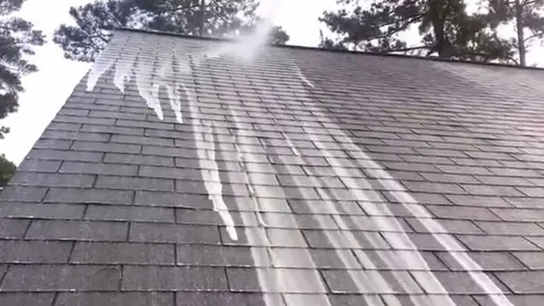 Best Roof Cleaners