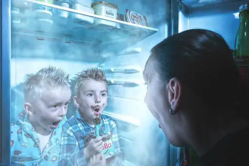 Ammonia Smells In Rv Fridges - image from ixabay by Teope1