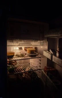 ge profile refrigerator no power