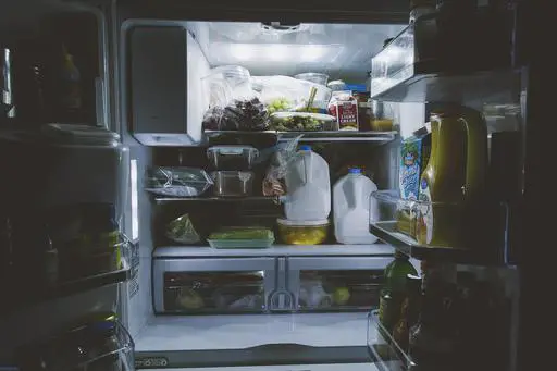 refrigerator smells like burning plastic