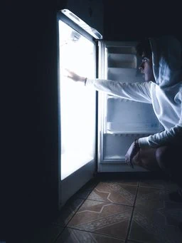 frigidaire gallery refrigerator freezer temperature rising